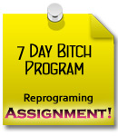 Bitch Program 