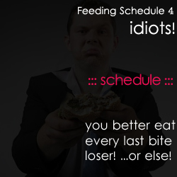 Feeding Schedule 4 idiots 