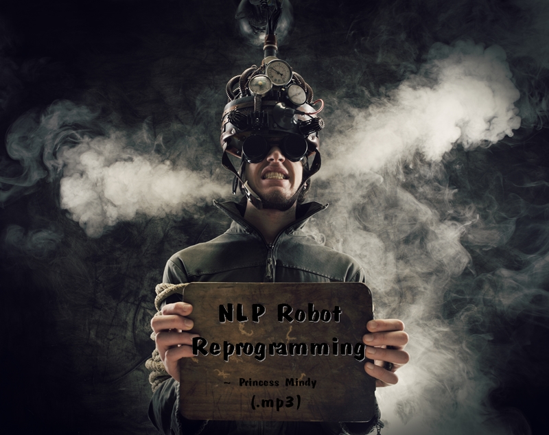 NLP Robot Reprogram MP3 